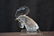 LALIQUE CRYSTAL ROOSTER HEAD MASCOT - 2