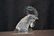 LALIQUE CRYSTAL ROOSTER HEAD MASCOT - 5