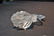 LALIQUE CRYSTAL ROOSTER HEAD MASCOT - 7