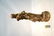 PAUL GASQ (1860-1944) FRENCH BRONZE SCULPTURE - 13