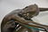 LARGE BRONZE FIGURAL COFFEE TABLE - 5