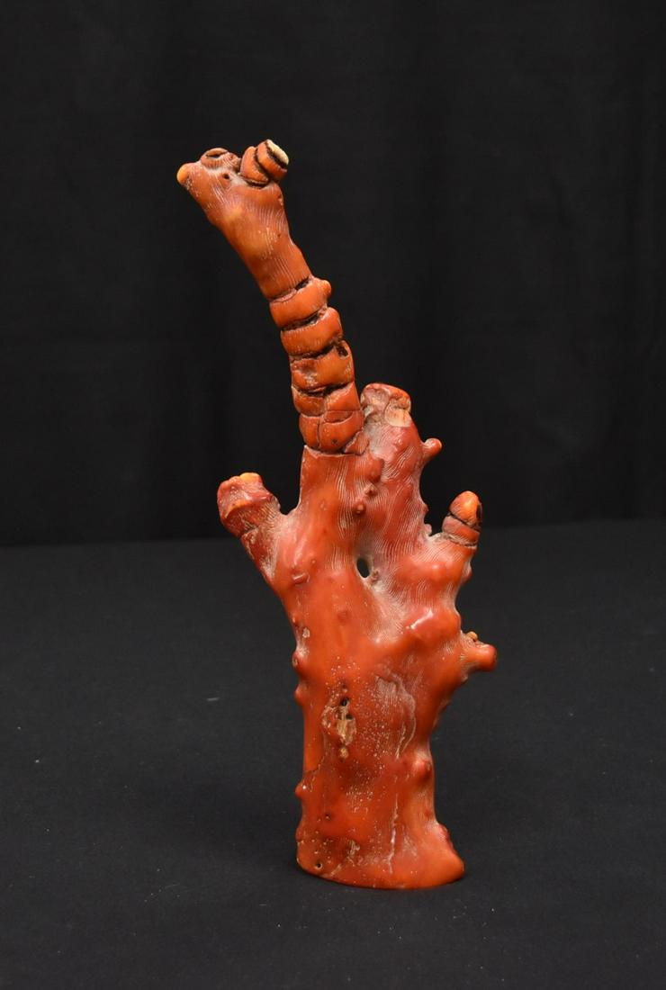ANTIQUE CORAL BRANCH SPECIMEN: 2 1/2" x 6 3/4"