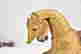 item-107704244=9