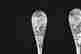 item-108071321=5