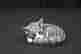item-112286455=2
