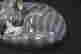item-112286455=5
