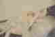 item-112445946=3