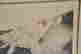 item-112445946=4