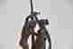 item-120915626=3