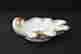 item-121572602=7
