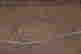 item-121572605=12
