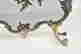 item-121671163=9