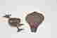 item-121671170=10