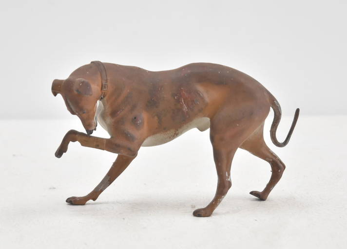 licking-speeds-healing-should-your-dog-lick-her-wounds