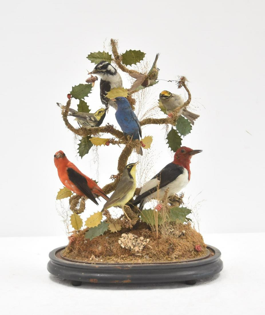 VICTORIAN BIRD DOME AVIARY (1 of 12)