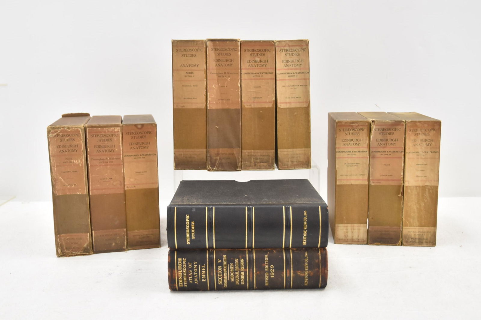 (11) VOLUMES OF STEREOSCOPIC STUDIES OF ANATOMY (1 of 15)