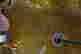 item-132055955=13