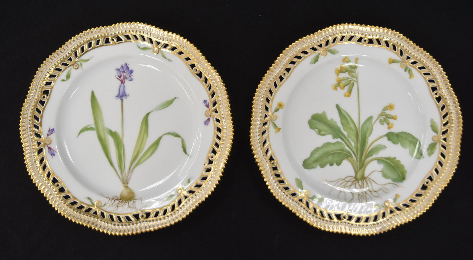 (2) FLORA DANICA ROYAL COPENHAGEN PLATES (1 of 13)