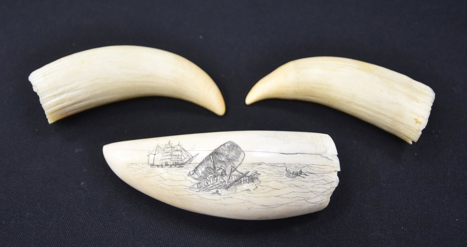 (2) SCRIMSHAW WHALE TEETH & (2) PLAIN WHALE TEETH: (2) 19thC SCRIMSHAW WHALE'S TOOTH / (2) PLAIN WHALE TEETH - LARGEST IS 2" x 7"