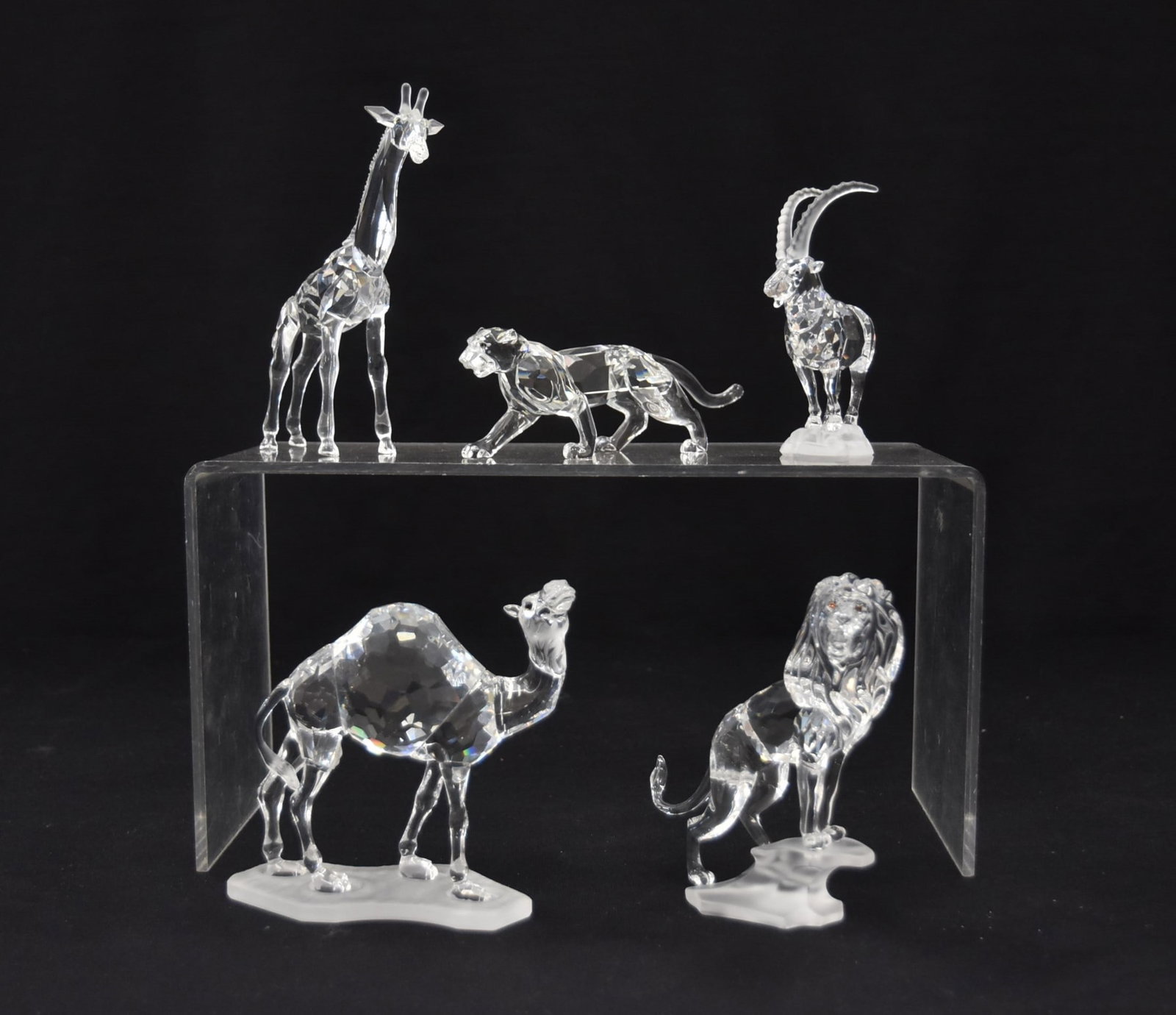 (5) SWAROVSKI CRYSTAL ANIMALS: SWAROVSKI CRYSTAL GIRAFFE / SWAROVSKI CAMEL / SWAROVSKI LION / SWAROVSKI PANTHER / SWAROVSKI GAZELLE -LARGEST 4 1/2" x 5 1/2"