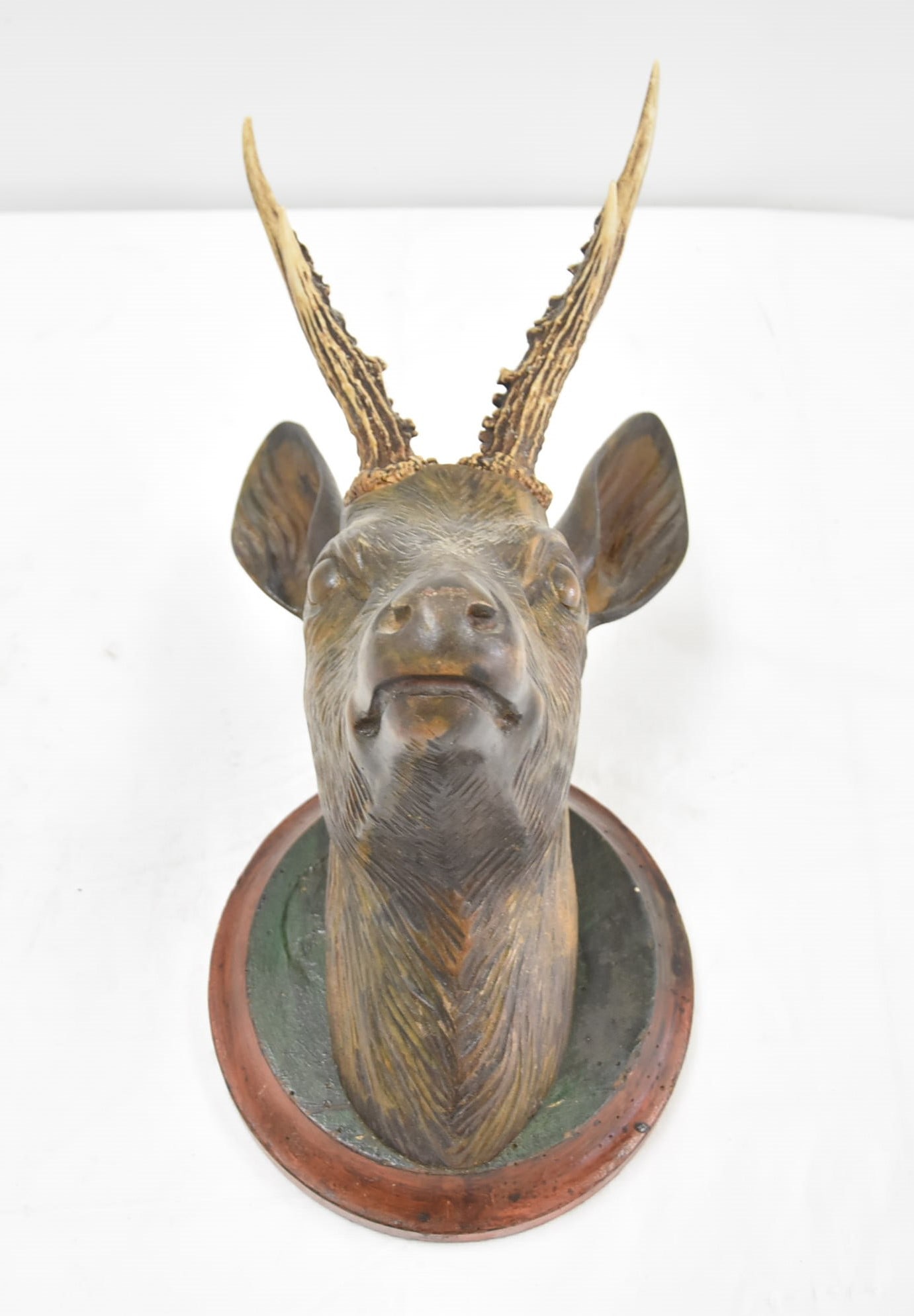 ANTIQUE CARVED BLACK FOREST DEER HEAD MOUNT: ATTRIBUTED TO BLACK FOREST ANTIQUE CARVED NATURALISTIC DEER HEAD TROPHY MOUNT WITH BONE ANTLERS - 7" x 11" x 16 1/2"