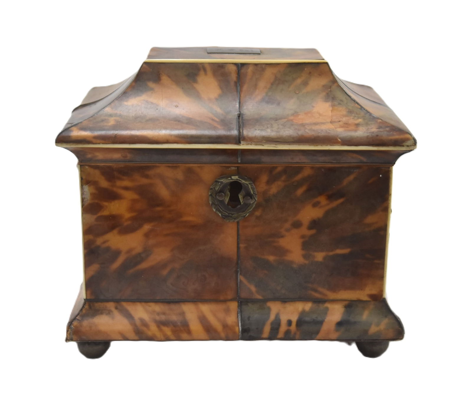 ANTIQUE REGENCY STYLE TORTOISE SHELL TEA CADDY (1 of 11)