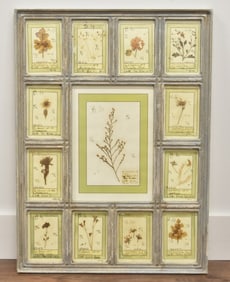 ITALIAN BOTANICAL COLLECTION