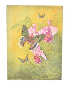 OIL ON CANVAS PINK BUTTERFLY STUDY