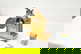item-208614374=12