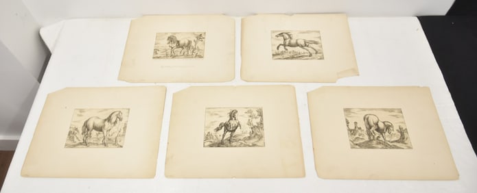 ANTONIO TEMPESTA , ORIGINAL HORSE ETCHINGS