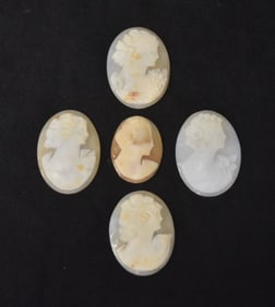 (5) SHELL CAMEO PORTRAITS