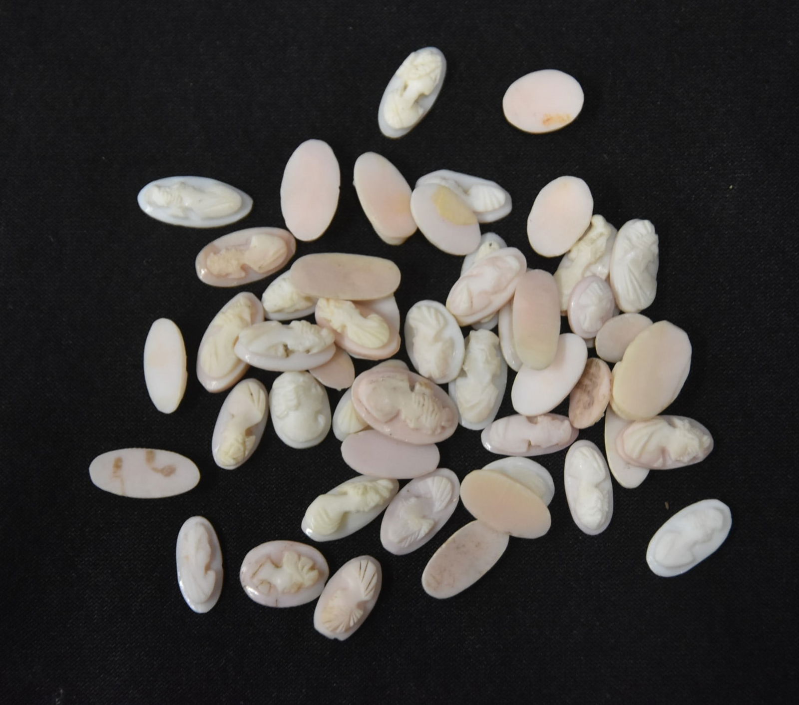 (100)pc's CARVED CORAL CAMEO MEDALLIONS: (100)pc CARVED CORAL CAMEO MEDALLIONS - 1/2" D