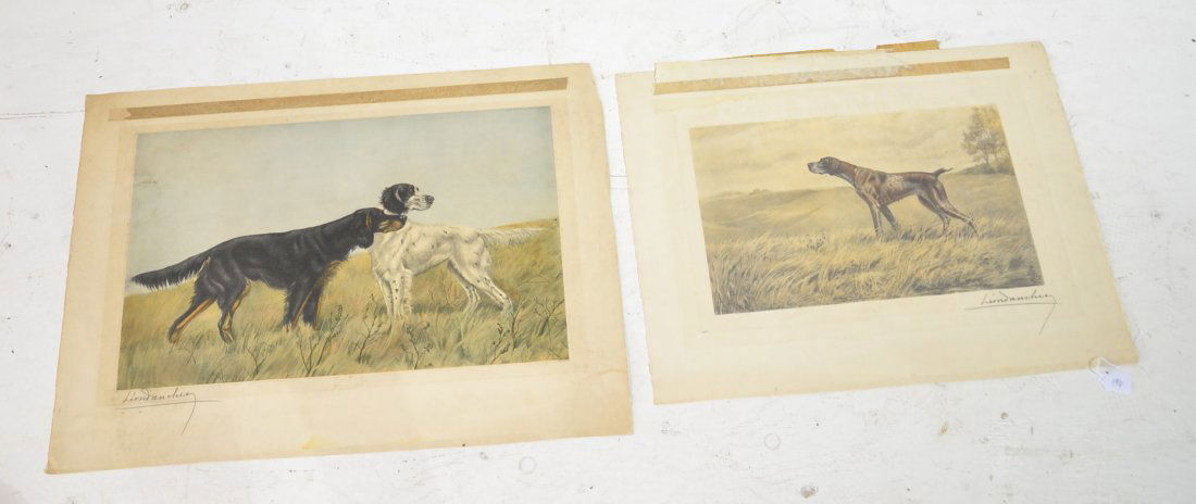 (2) LEON DANCHIN HUNTING DOG LITHOGRAPHS: (UNFRAMED) LARGEST IS 23 3/4" x 14 3/4"