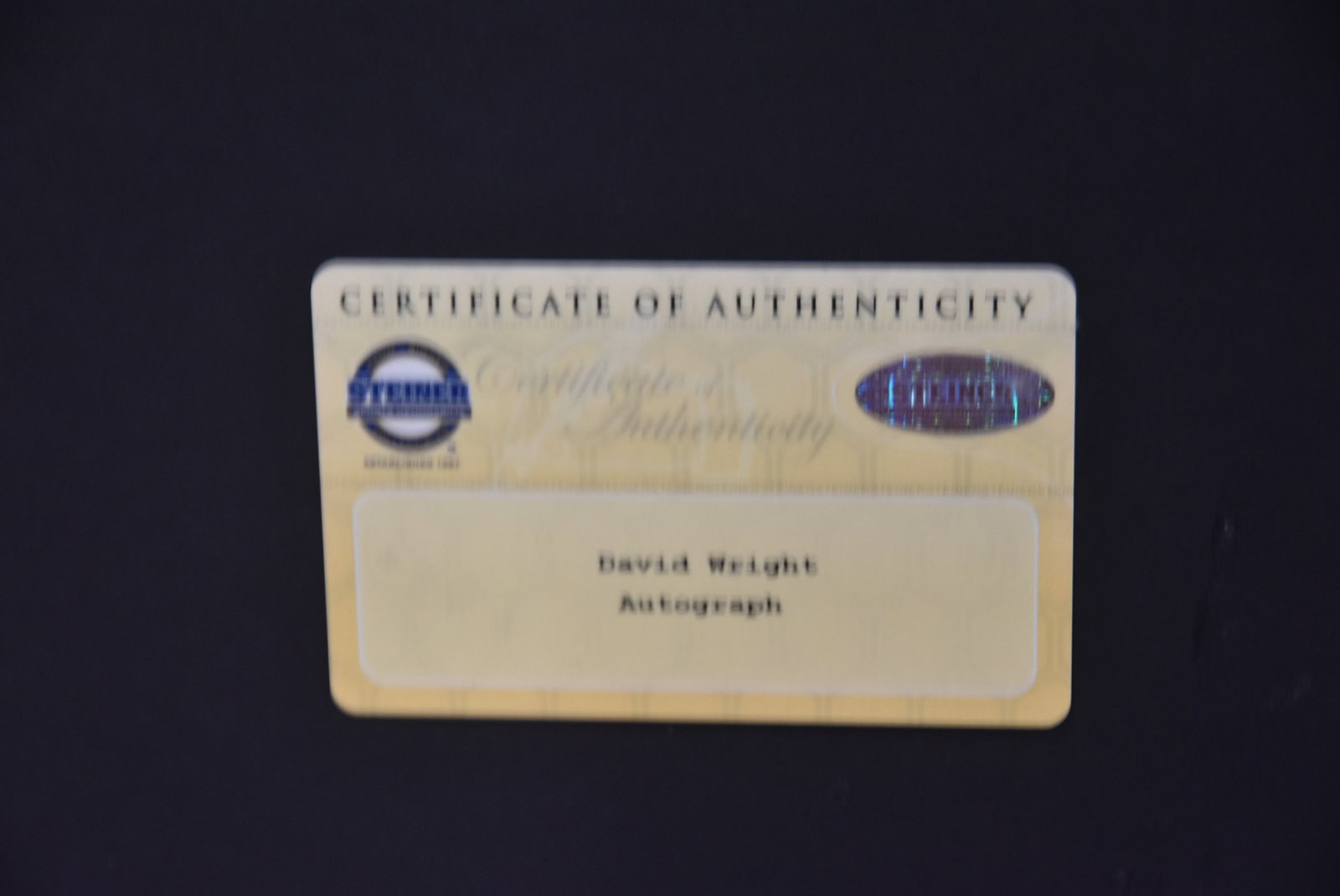 DAVID WRIGHT SIGNED COLLAGE / MARTIN BRODEUR - 17