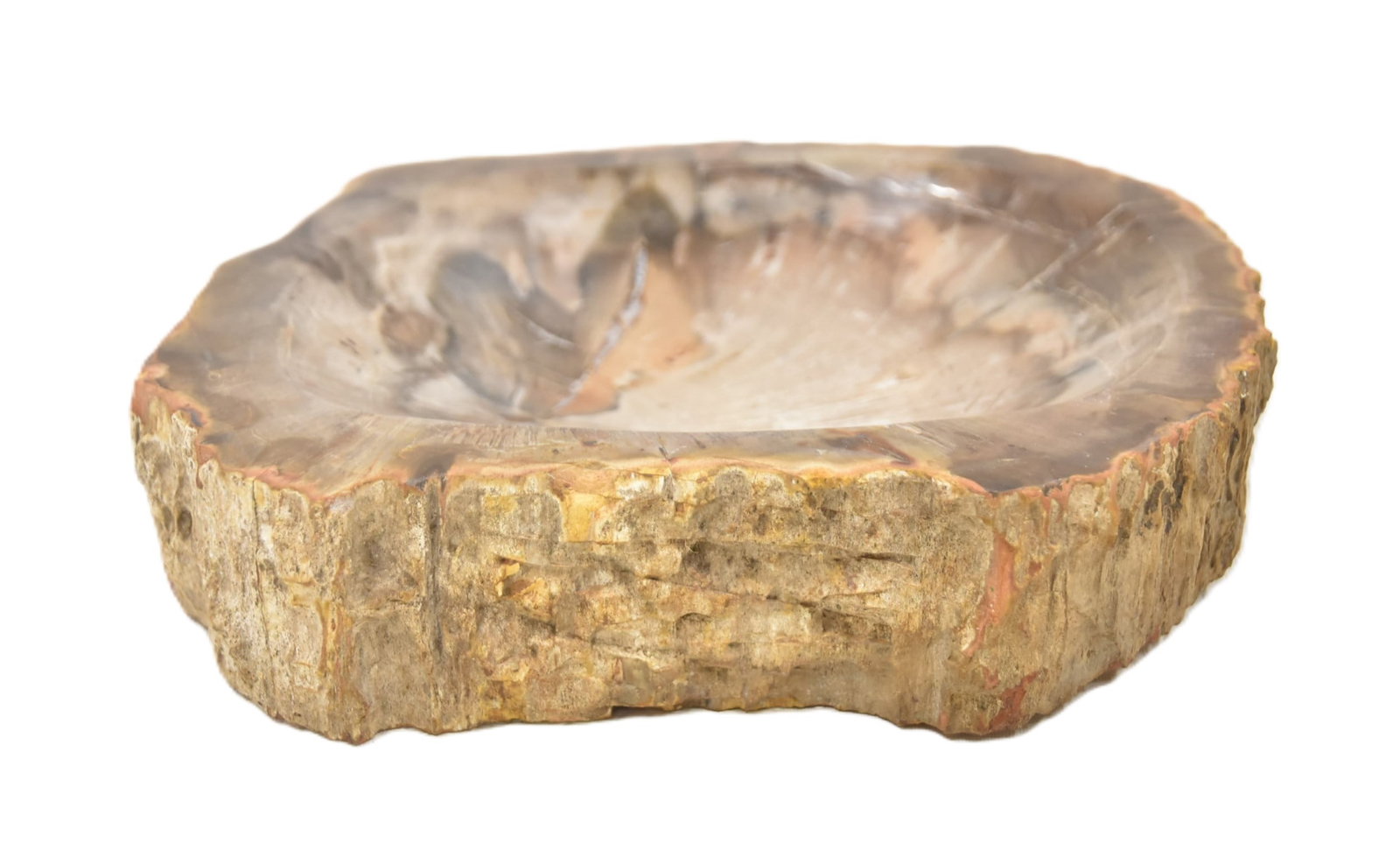 PETRIFIED WOOD VIDE POCHE DISH (1 of 11)