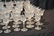 (47)pc CZECHOSLOVAKIA CUT GLASS STEMWARE - 2