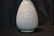 ORIENTAL PORCELAIN VASE - 6" x 15" - 2