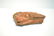 PETRIFIED WOOD FOSSIL - 8" x 5" x 4 1/2" - 4