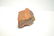 PETRIFIED WOOD FOSSIL - 8" x 5" x 4 1/2" - 6