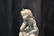 MATTE LLADRO GIRL WITH DOLL - 6" x 9" - 3