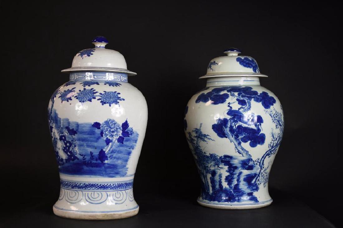 Two Chinese Blue & White Porcelain Ginger Jars (1 of 7)