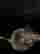 item-107337285=7