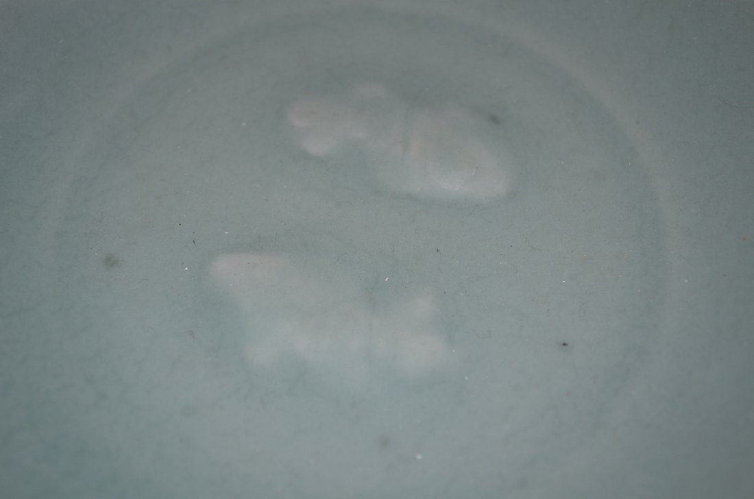 Chinese Pale Green/Celadon Glazed Fish Plate - 4