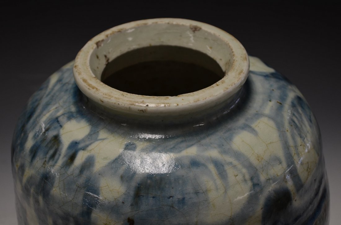 Chinese Blue and White Porcelain Jar - 3