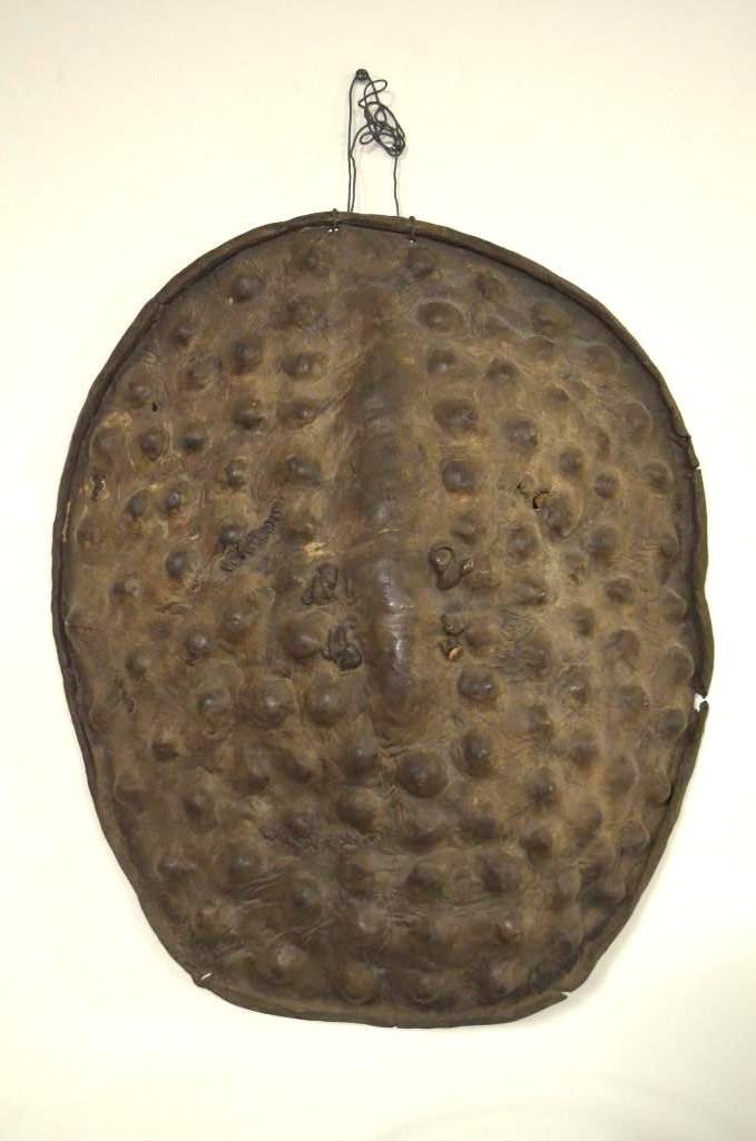 Antique African Shield: Antique African Shield; H: 26 Inches