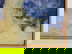 item-173421423=4