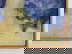 item-173421423=5