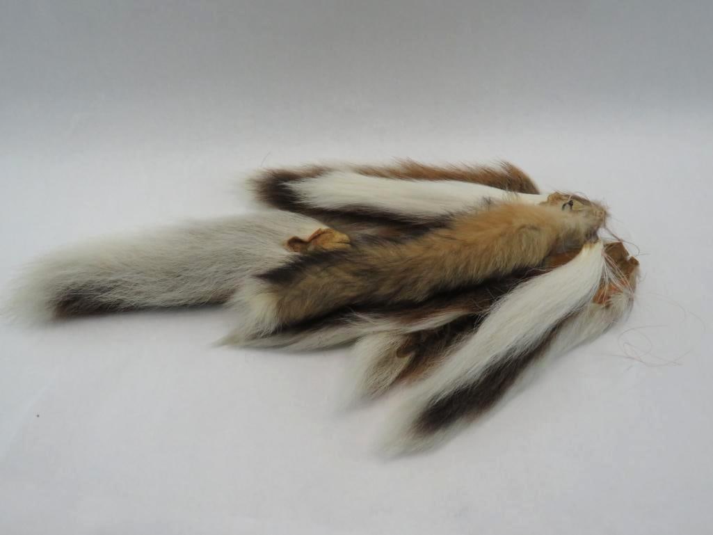 Assorted Pelts and Pieces: black bear; ermine; wolverine (?); deer; more?