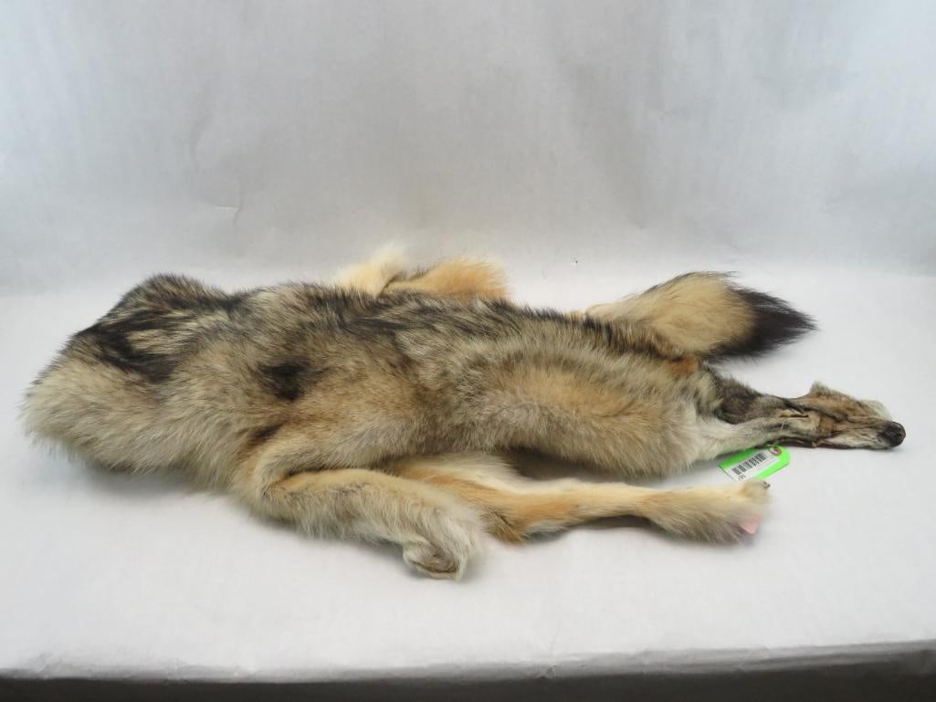 Wolf Pelt (1 of 4)