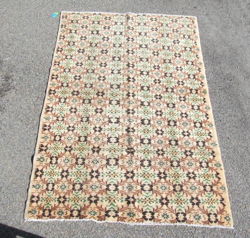 Hand Knotted Area Rug: 59 x 89